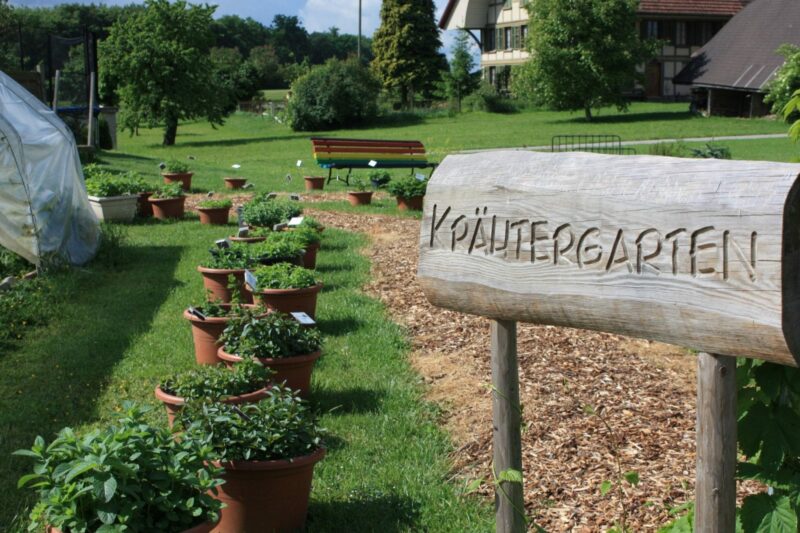 Kräutergarten Berchtoldshof